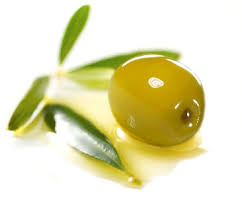 OLIO DI OLIVA EXTRA VERGINE ARPOL OP